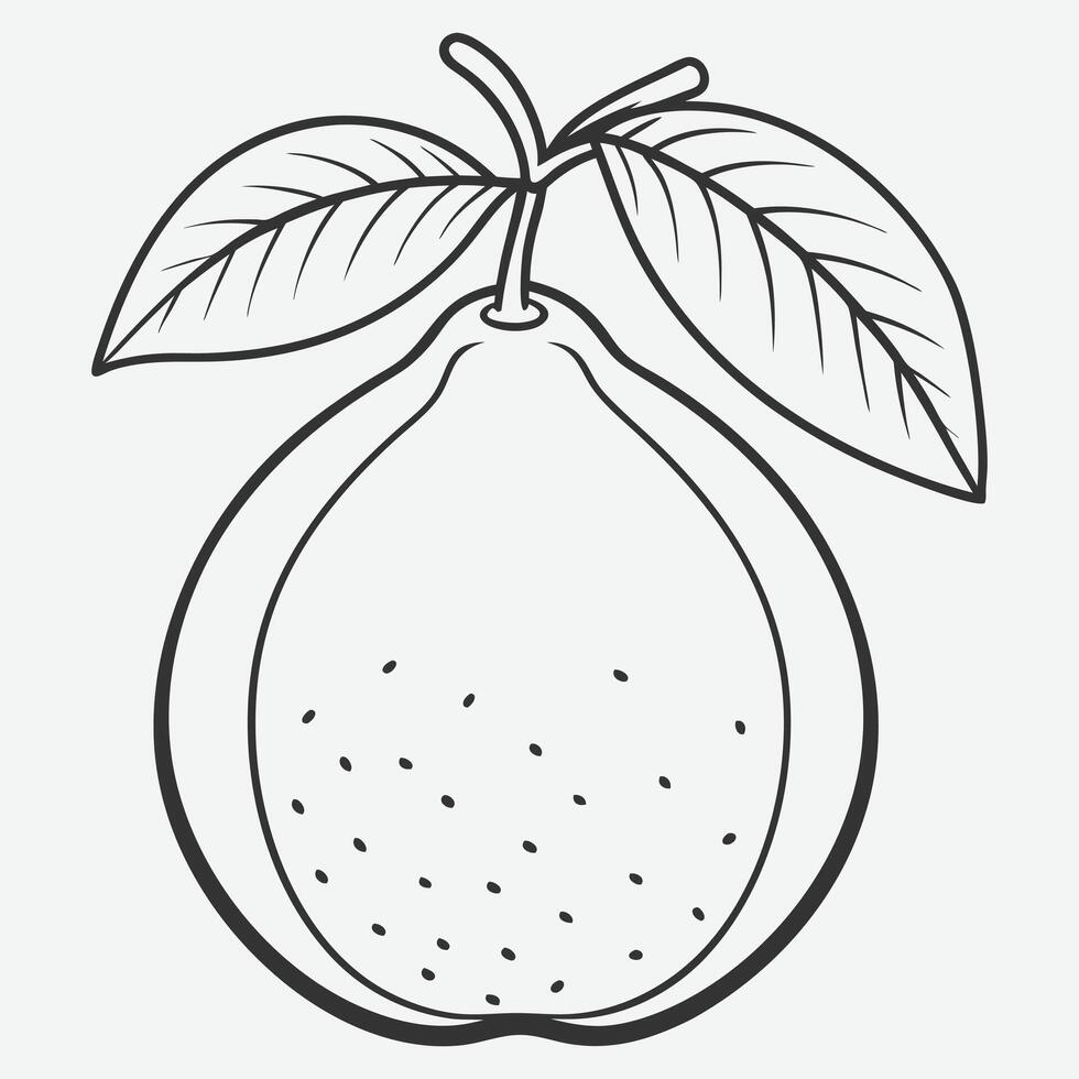 Elegant Guava Line Art, Minimalist Guava Illustrations vector