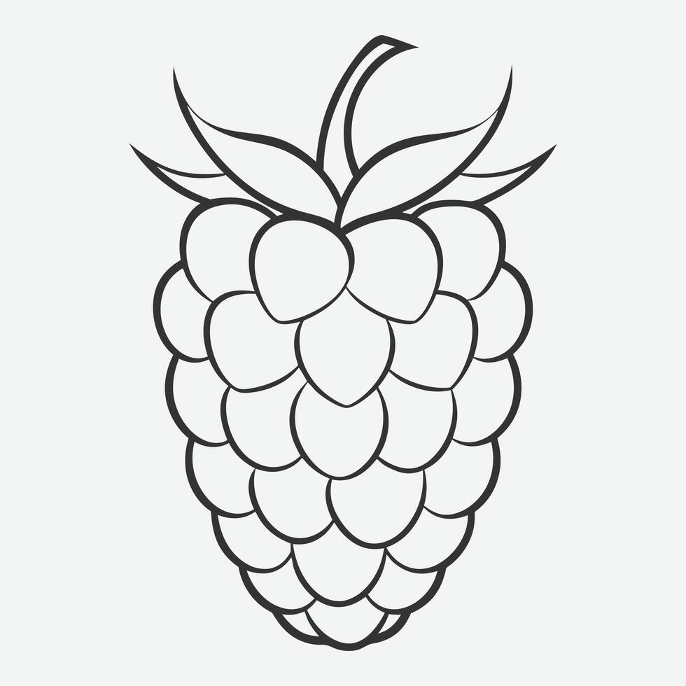 Elegant Raspberry Line Art Design for Minimalist Decor vector