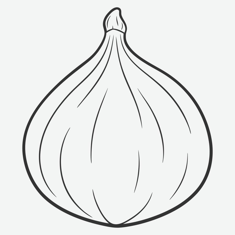 Elegant Fig Line Art, Simple, Minimalist Illustrations of Fig Fruit vector