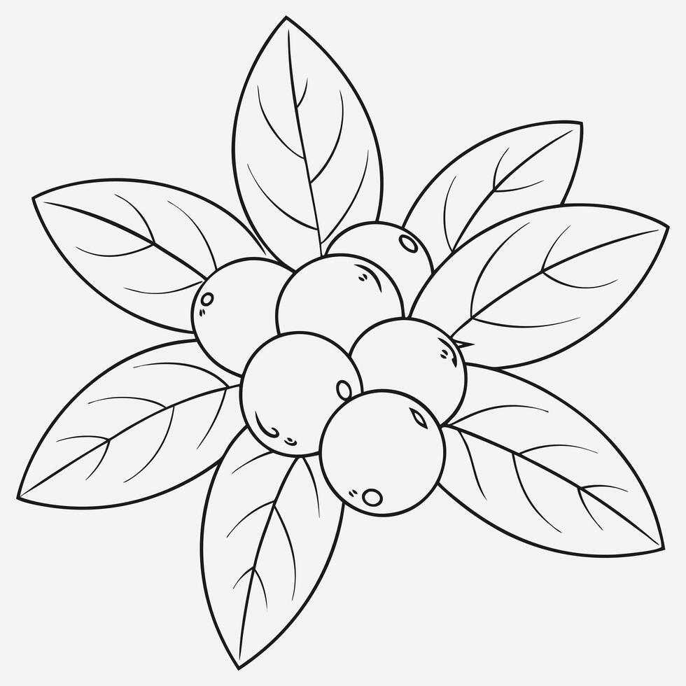 Buffaloberry Line Art, Stunning Botanical Illustrations vector