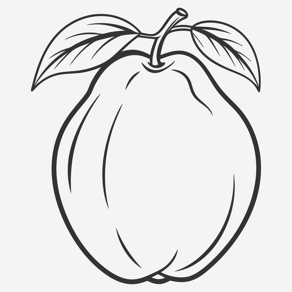 Exquisite Quince Line Art Collection, Elegant Botanical Illustrations vector