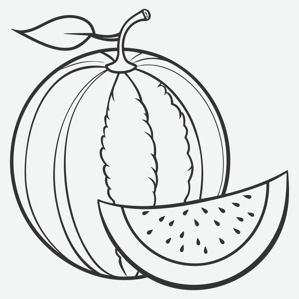 Elegant Honeydew Melon Line Art vector