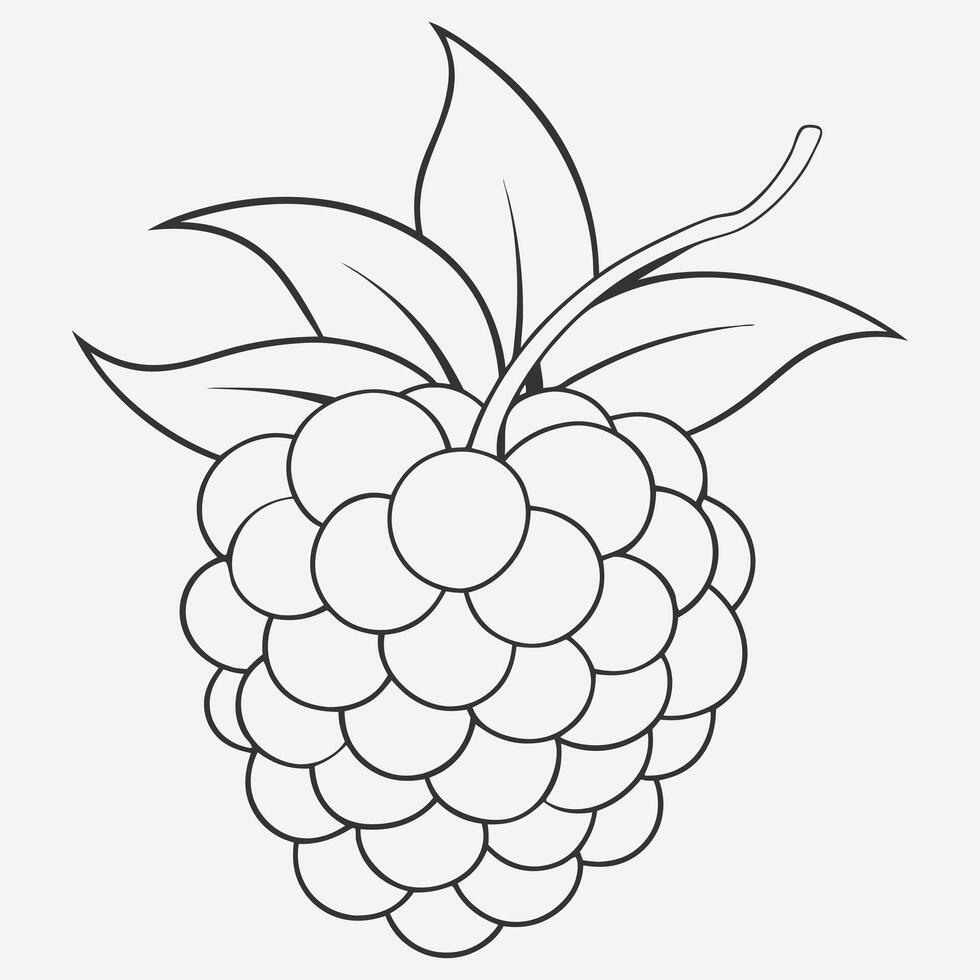 MARIONBERRY LINE ART MASTERPIECE vector