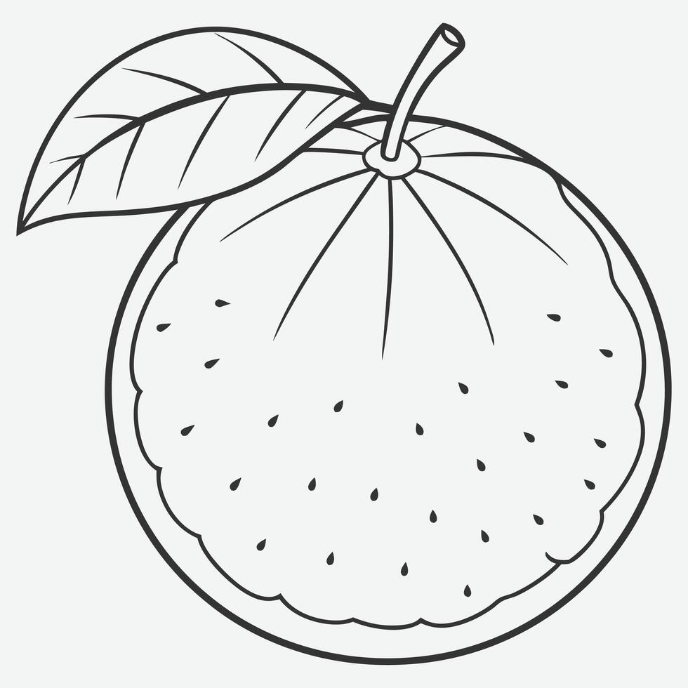 Elegant Ugli Fruit Line Art Minimalist Drawing and Design vector