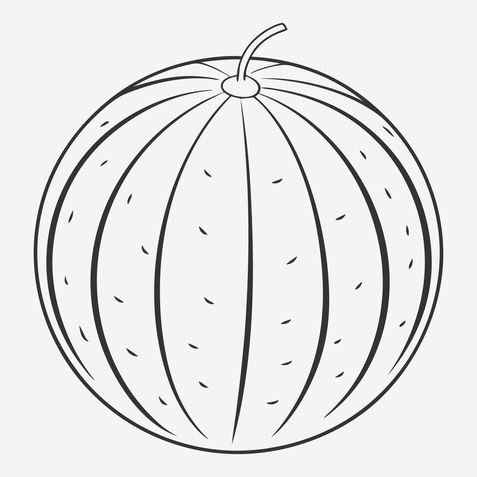 Elegant Melon Line Art, Minimalist Fruit Design Masterpiece vector