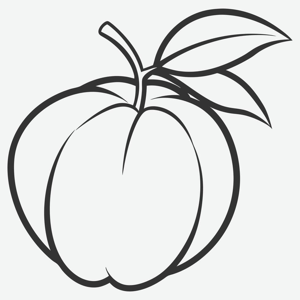 Exquisite Ackee Line Art, The Ultimate Collection vector