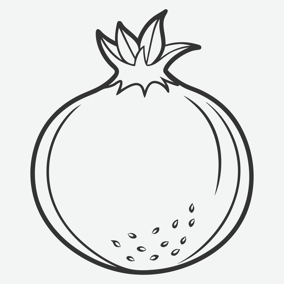 Elegant Pomegranate Line Art Illustration vector