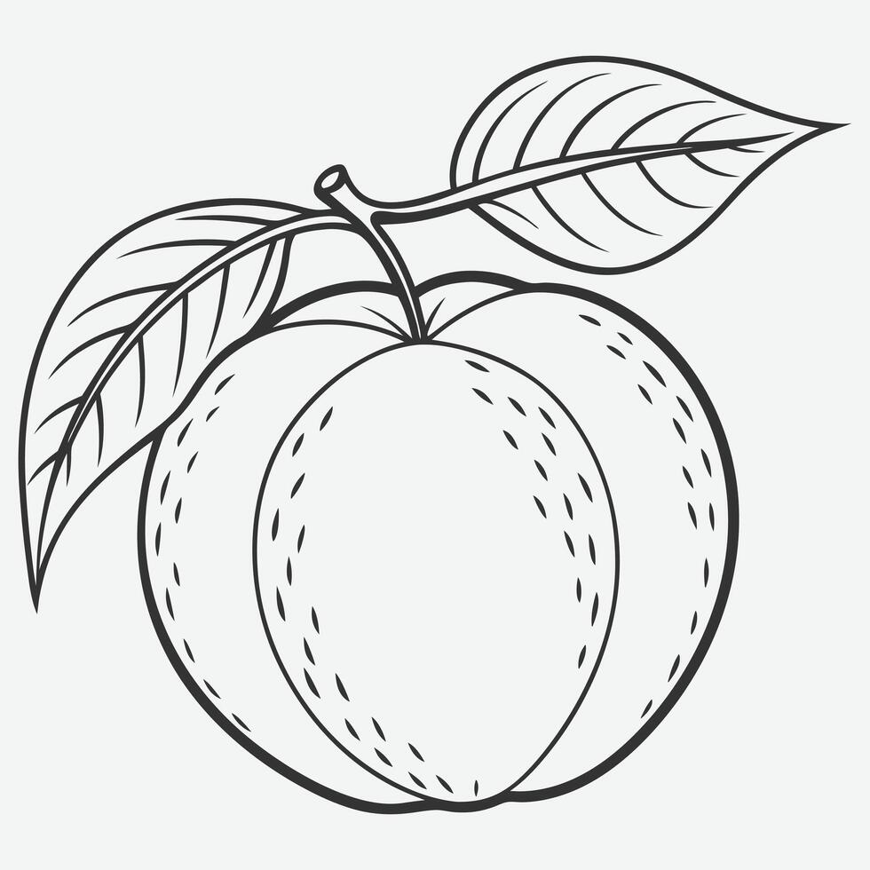 Elegant Peach Line Art Collection vector