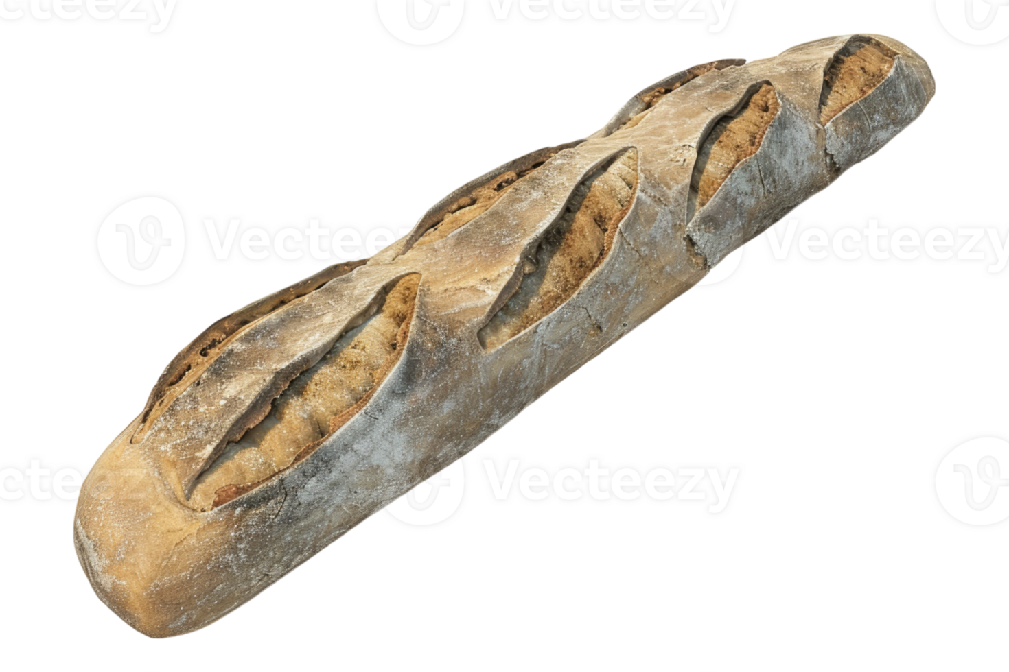 French baked baguette isolated on transparent background. png