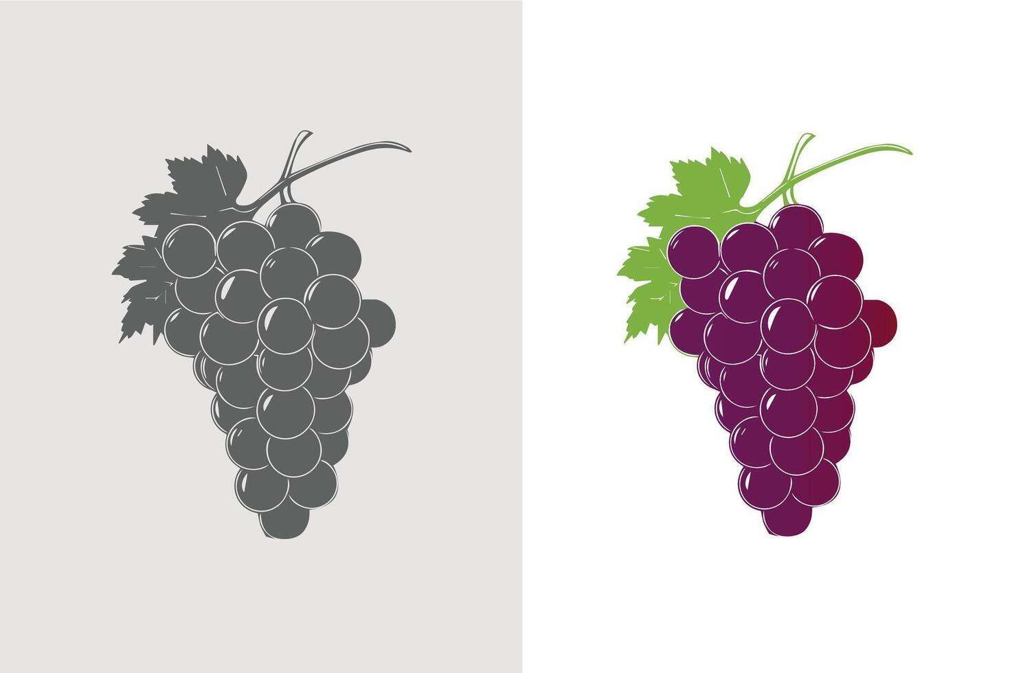 Fresh Fruit Graphic Illustration Grape Cherry Pro vector