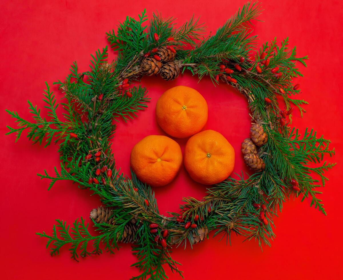 Christmas wreath made of natural shrubs and berries, for the design of banners and postcards for the new year and Christmas. photo