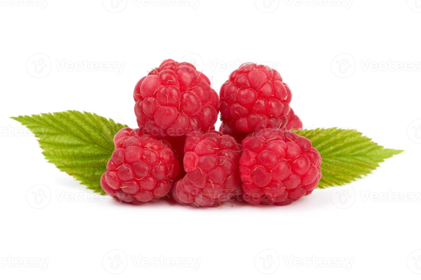 raspberries on white photo