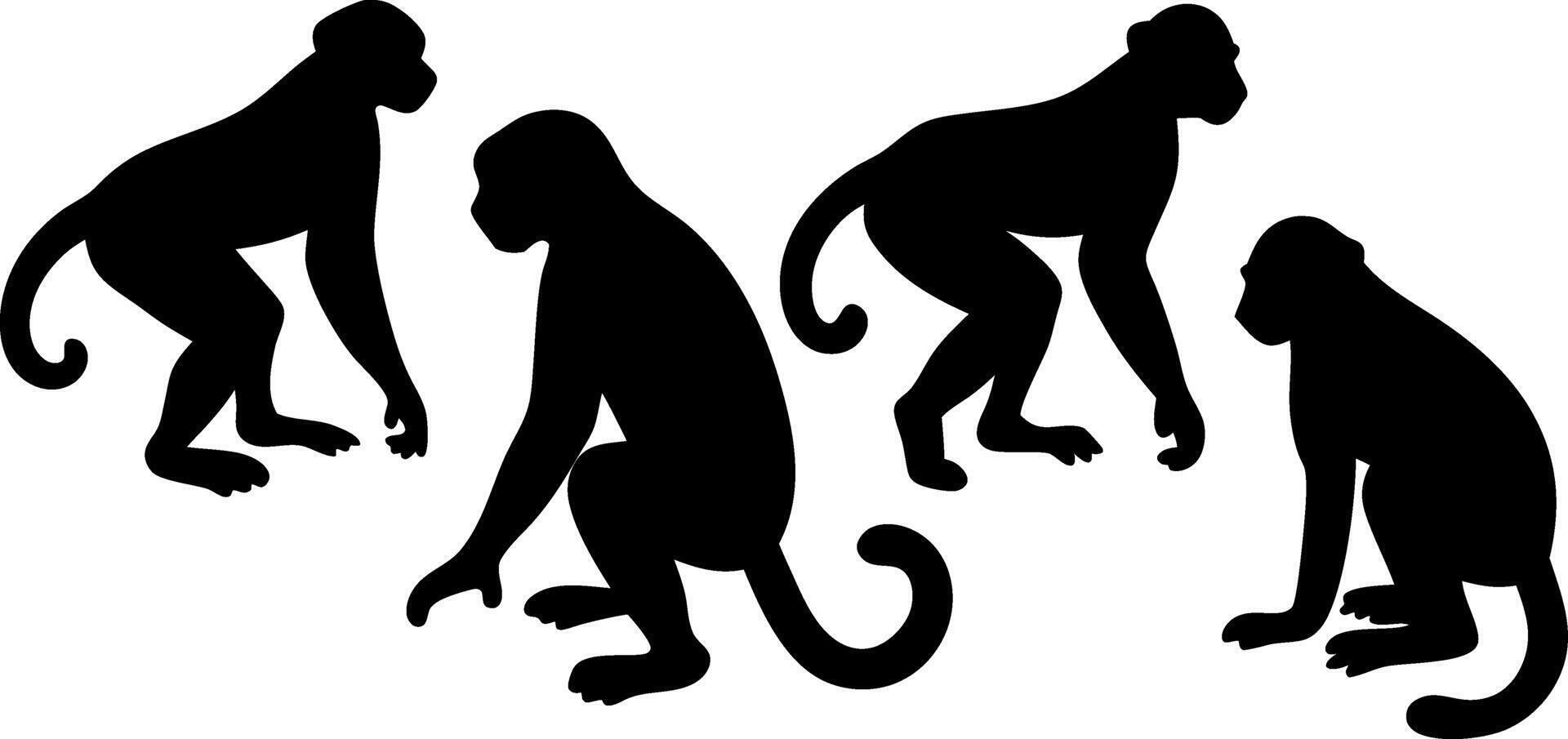 A set of monkey silhouettes on a white background. Perfect for designs about animals, nature, wildlife, primates, monkeys, apes, jungle, rainforest, conservation, and education vector