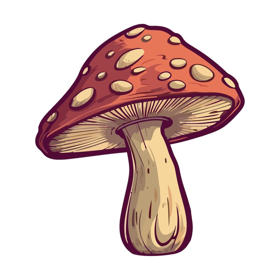 illustration of a mushroom on a white background vector