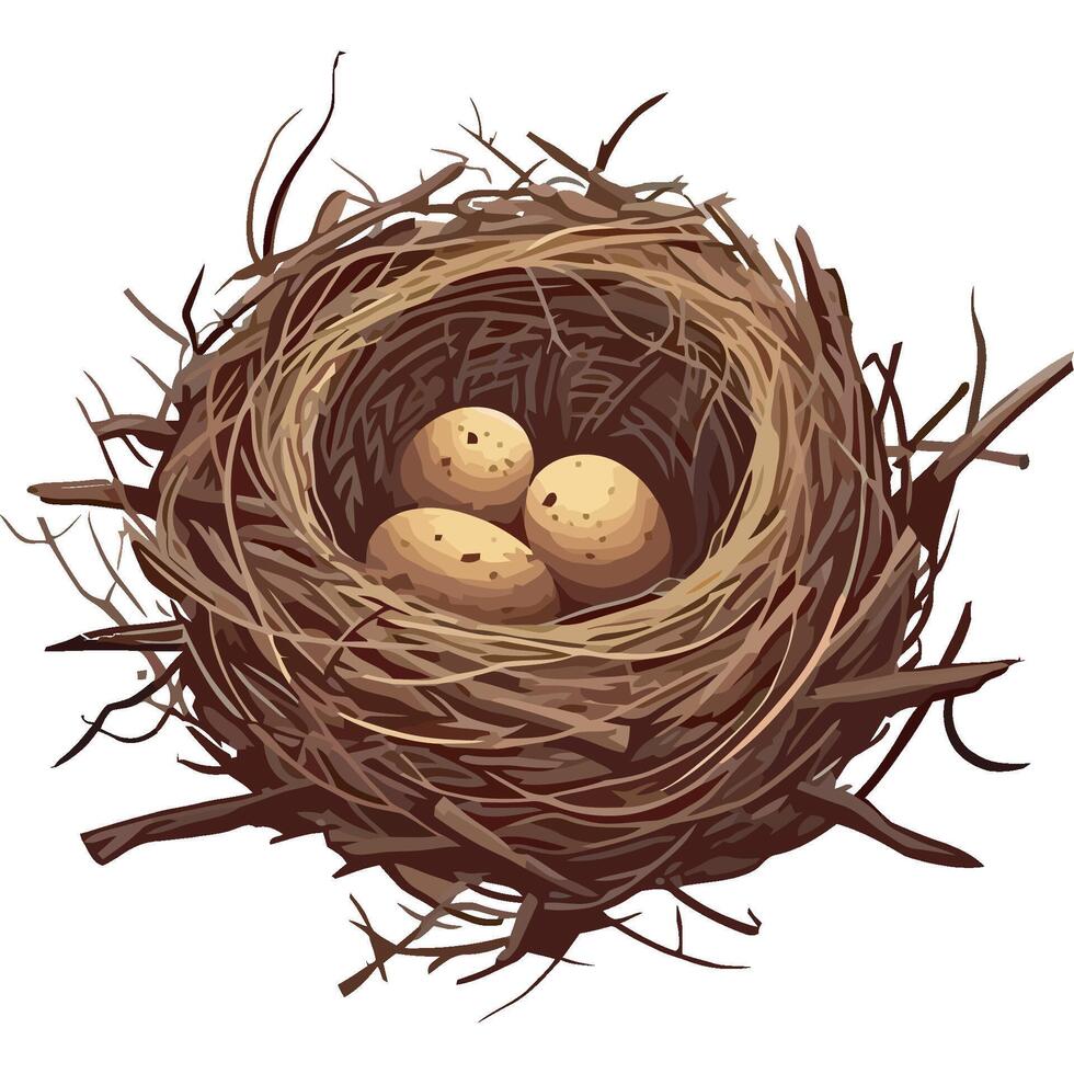 A bird nest with three eggs in it vector