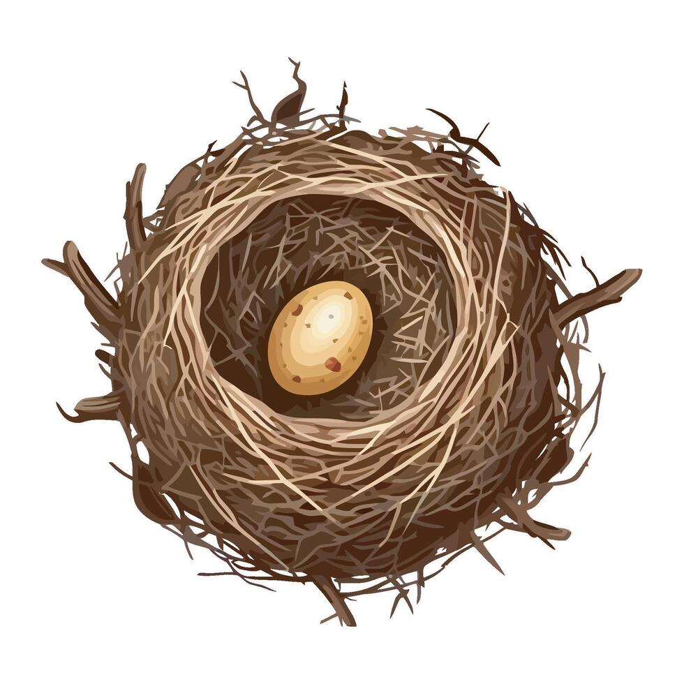 An illustration of a bird's nest with an egg inside vector