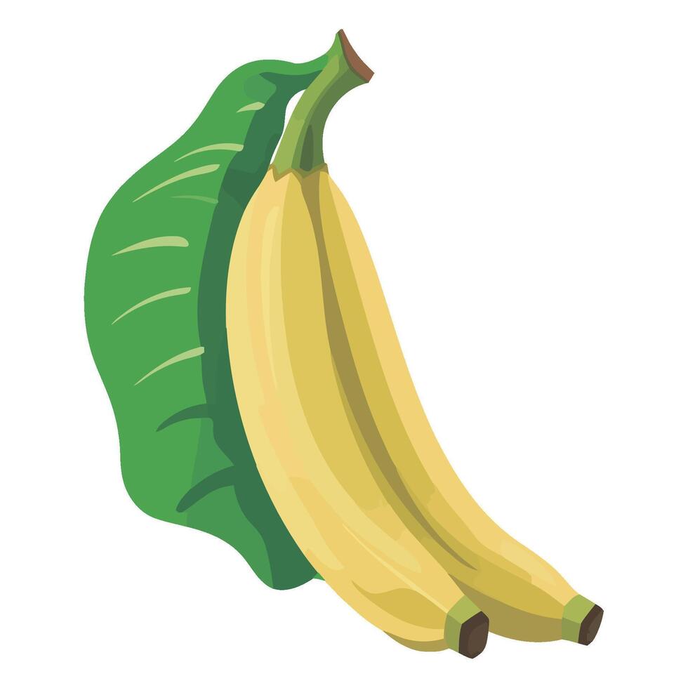 Banana with green leaf illustration vector