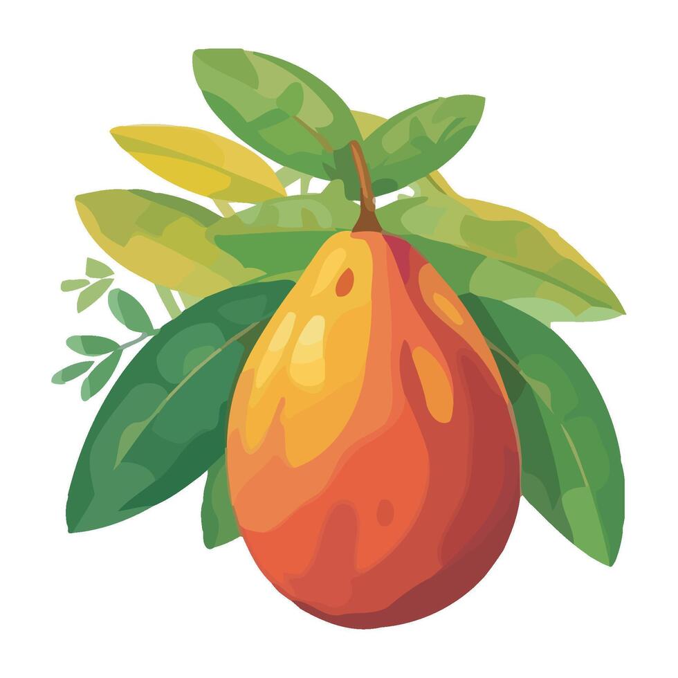 Mango fruit illustration isolated on white background vector