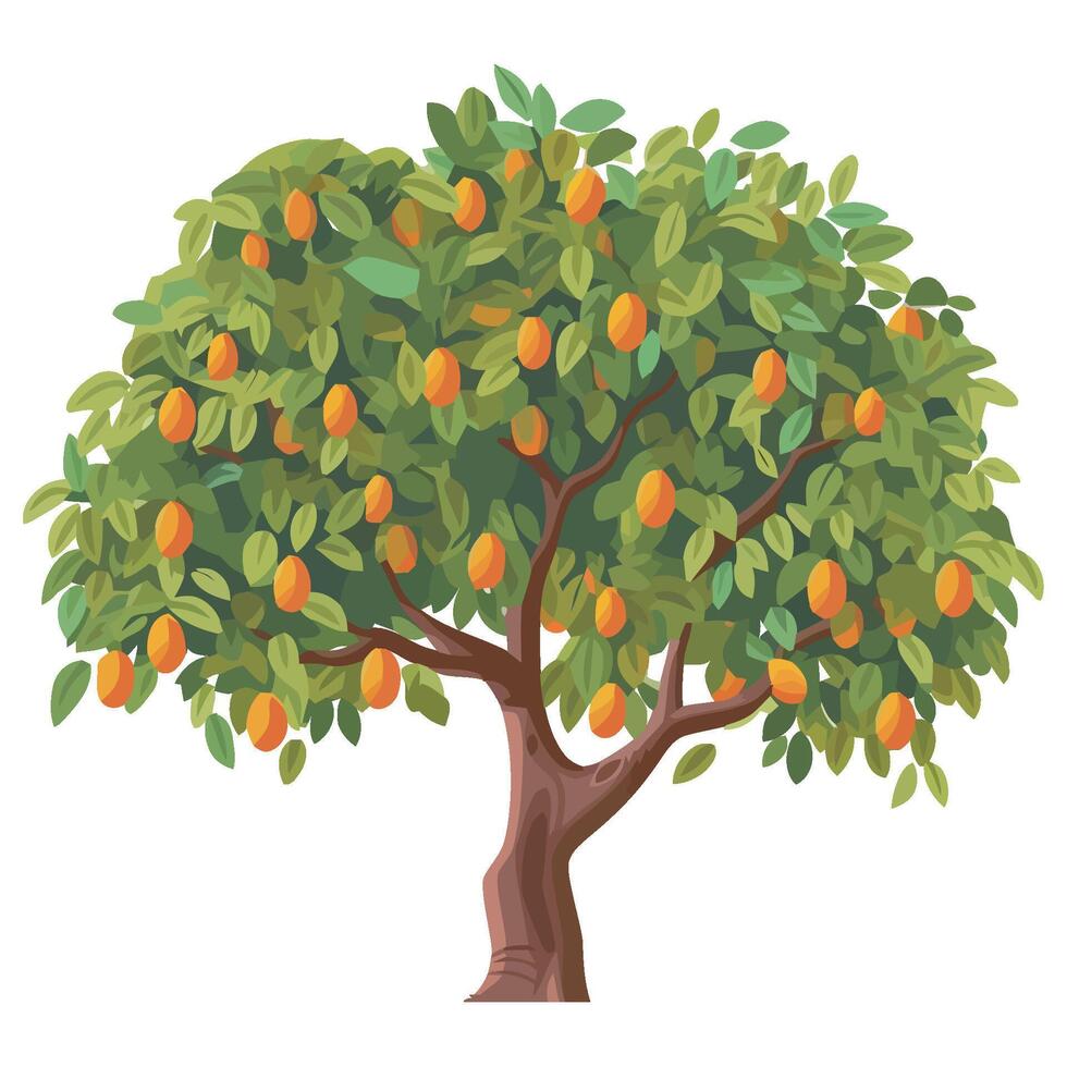 An orange tree with fruit on it vector
