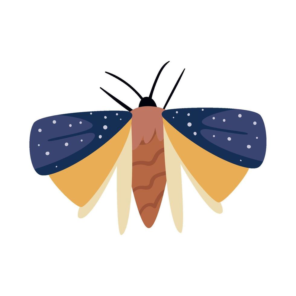 A moth with a yellow and blue body vector