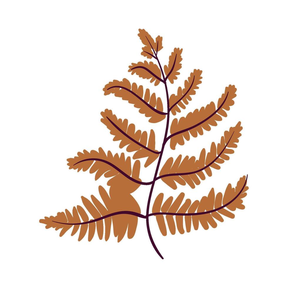 A fern leaf on a white background vector