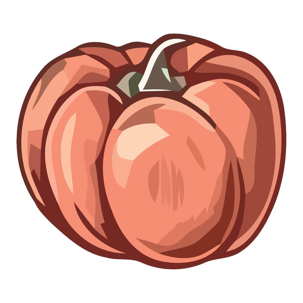 A red pepper on a white background vector