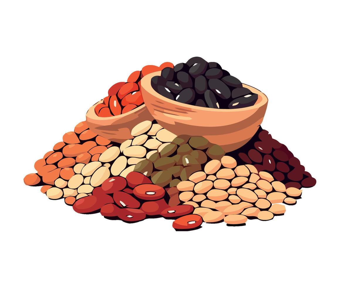 Beans and beans in a bowl vector
