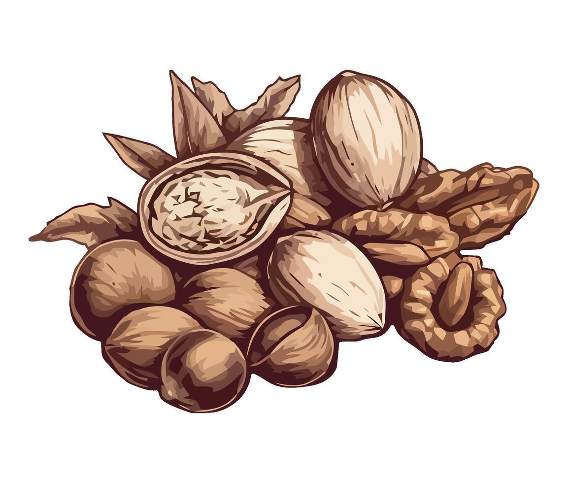 Nuts and nuts on a white background vector