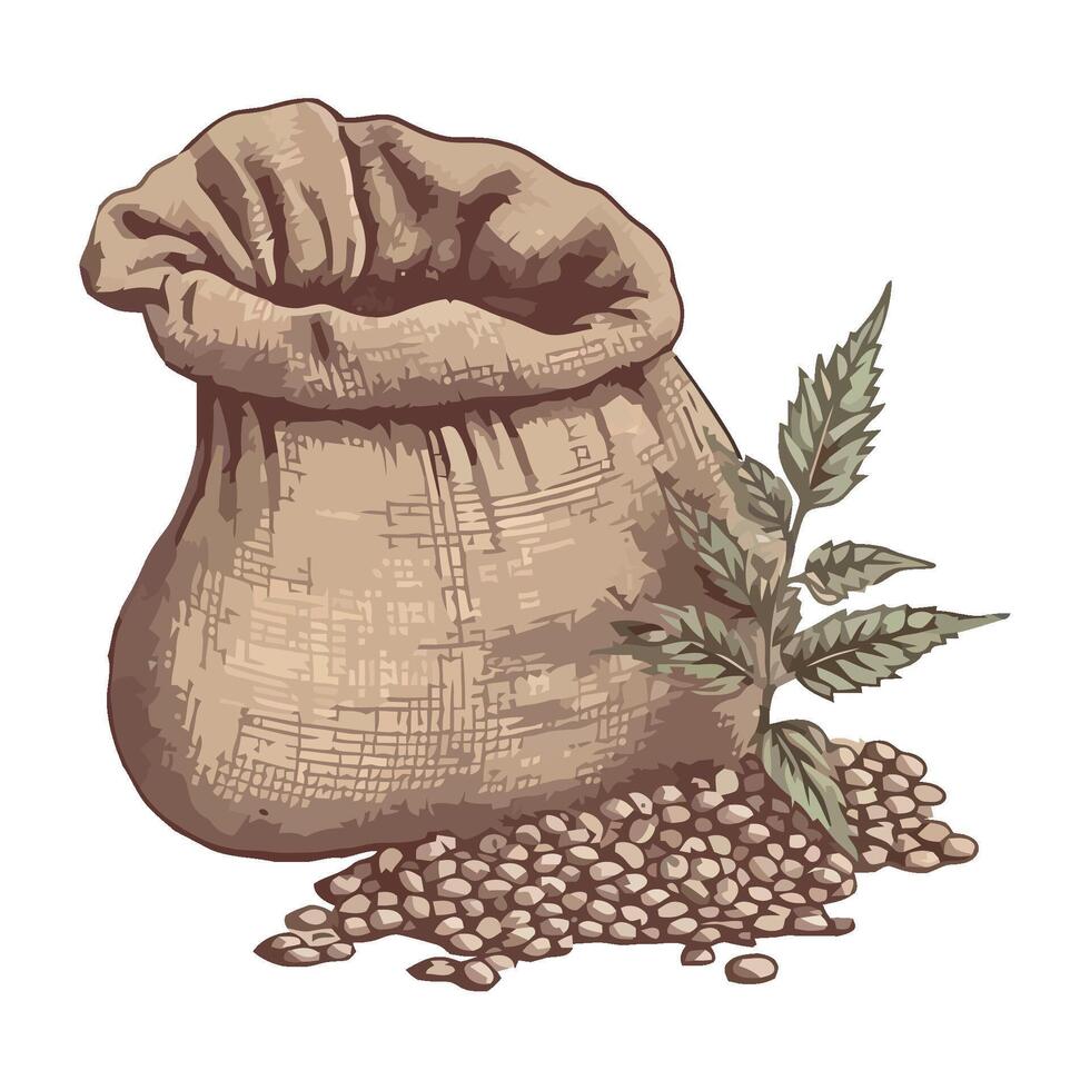 A sack of beans and a plant in it vector