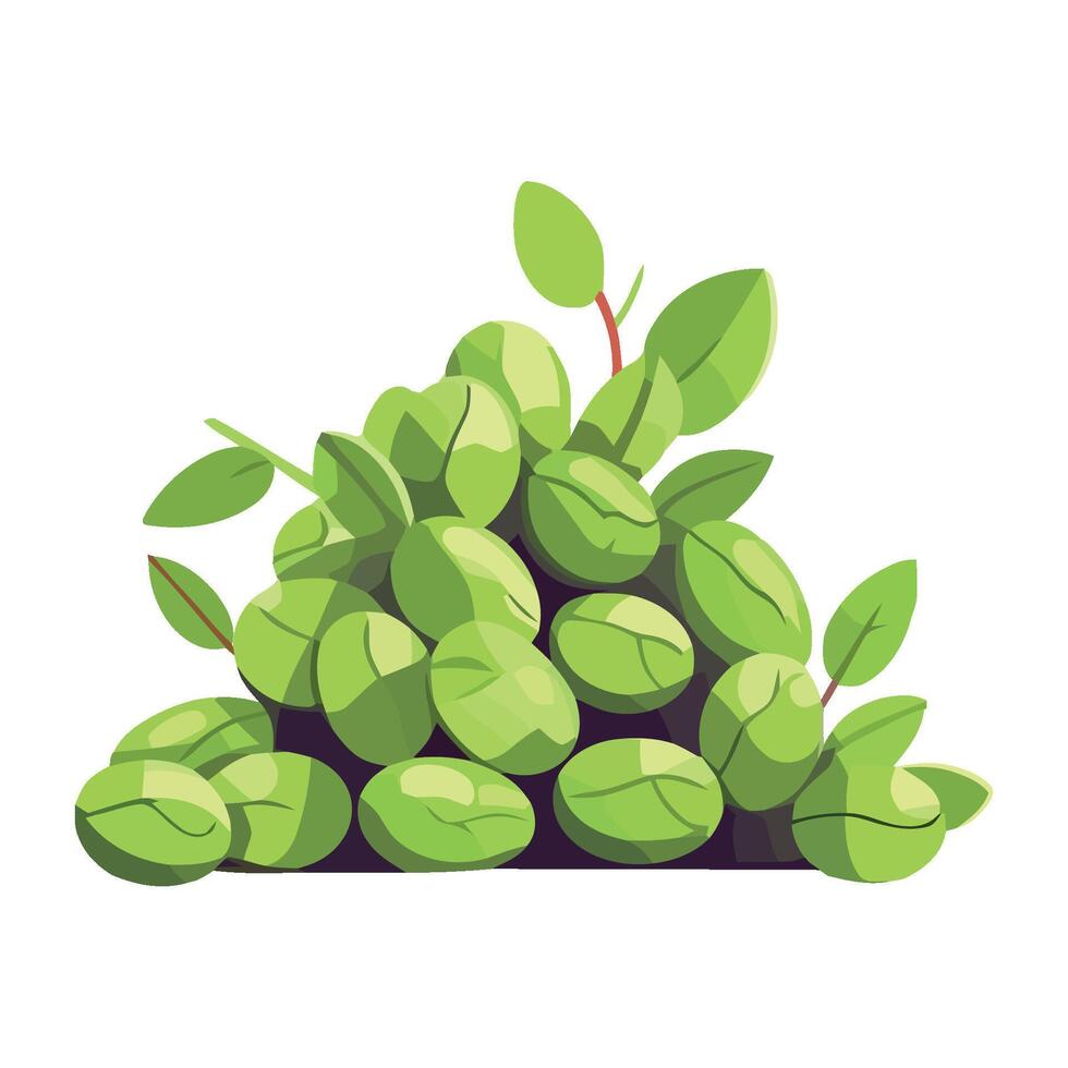 Green beans with leaves and leaves illustration vector