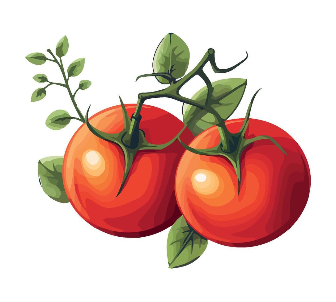 Tomatoes on a branch illustration vector