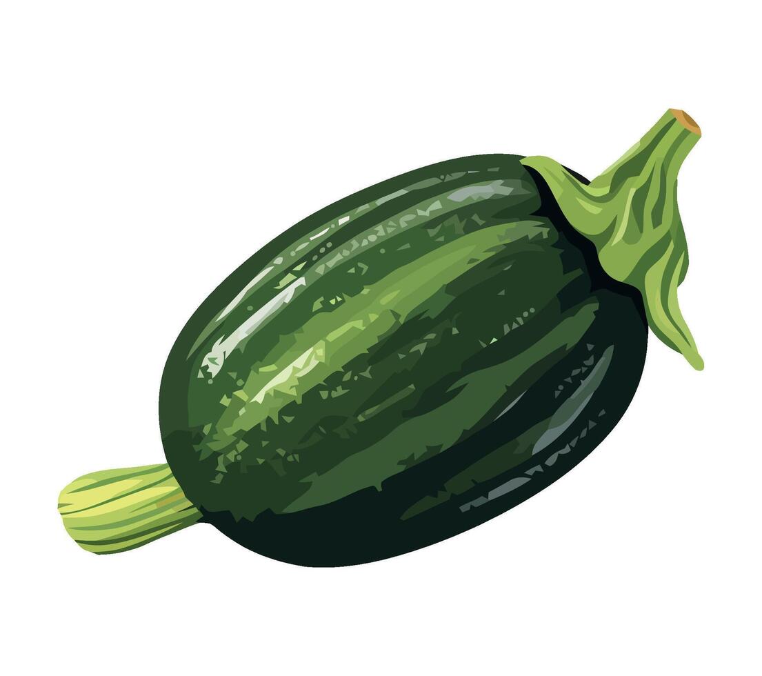 A green zucchini on a white background vector