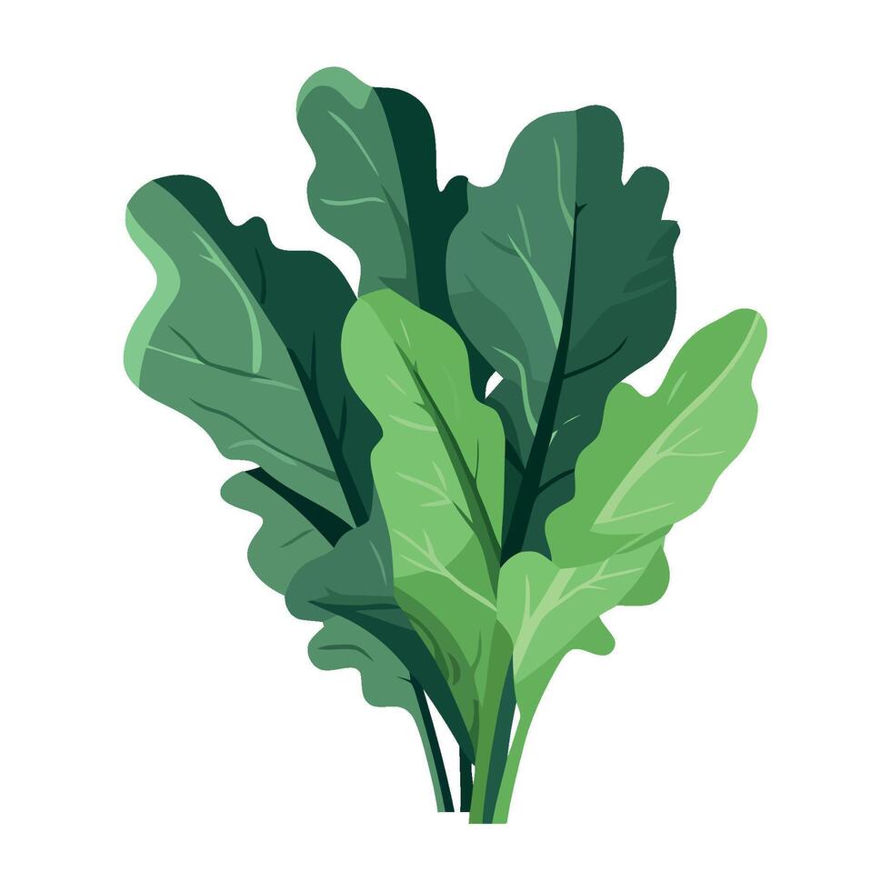 A bunch of green leaves on a white background vector
