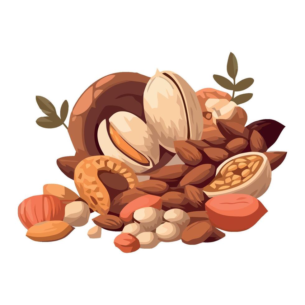 Nuts and nuts on a white background vector