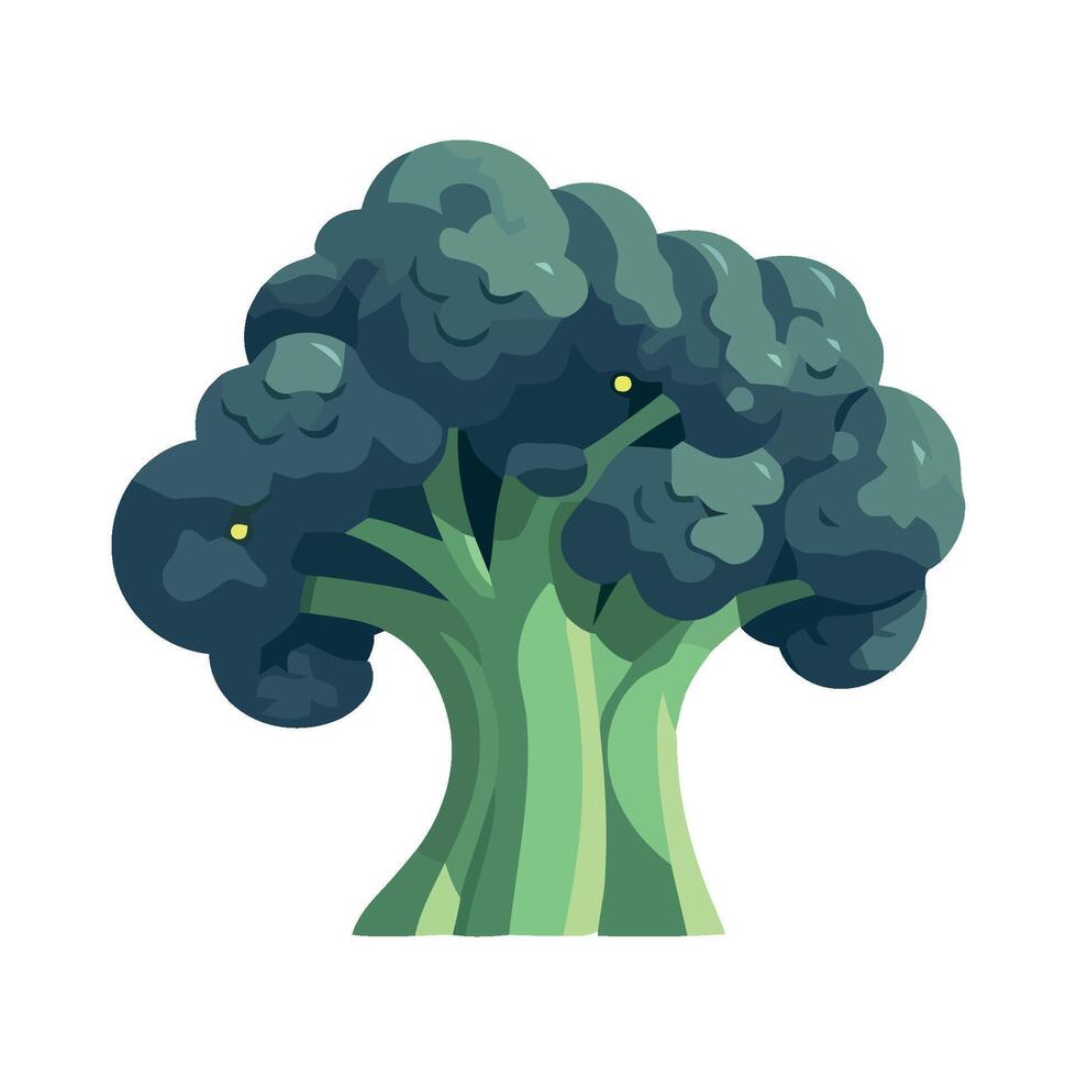 Broccoli tree illustration isolated on white background vector