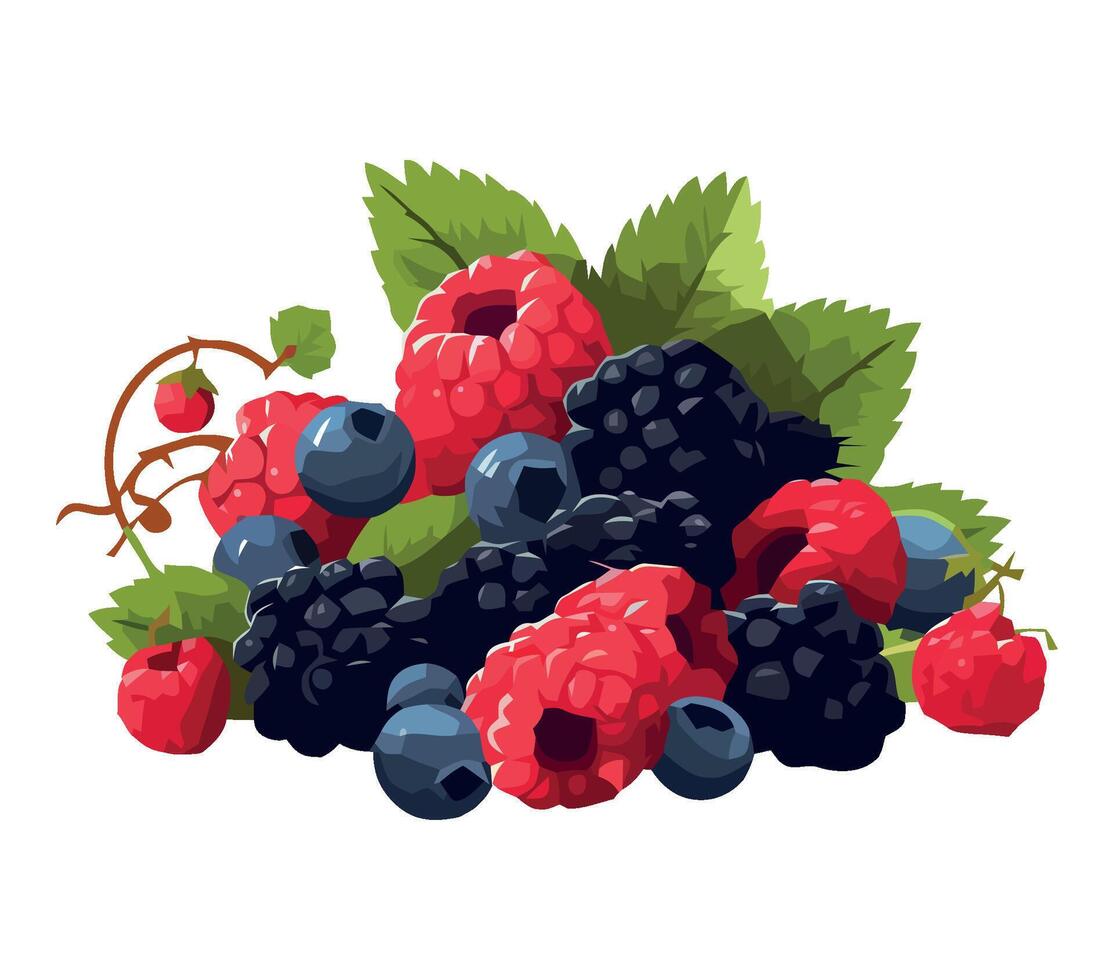A bunch of berries with leaves on a white background vector
