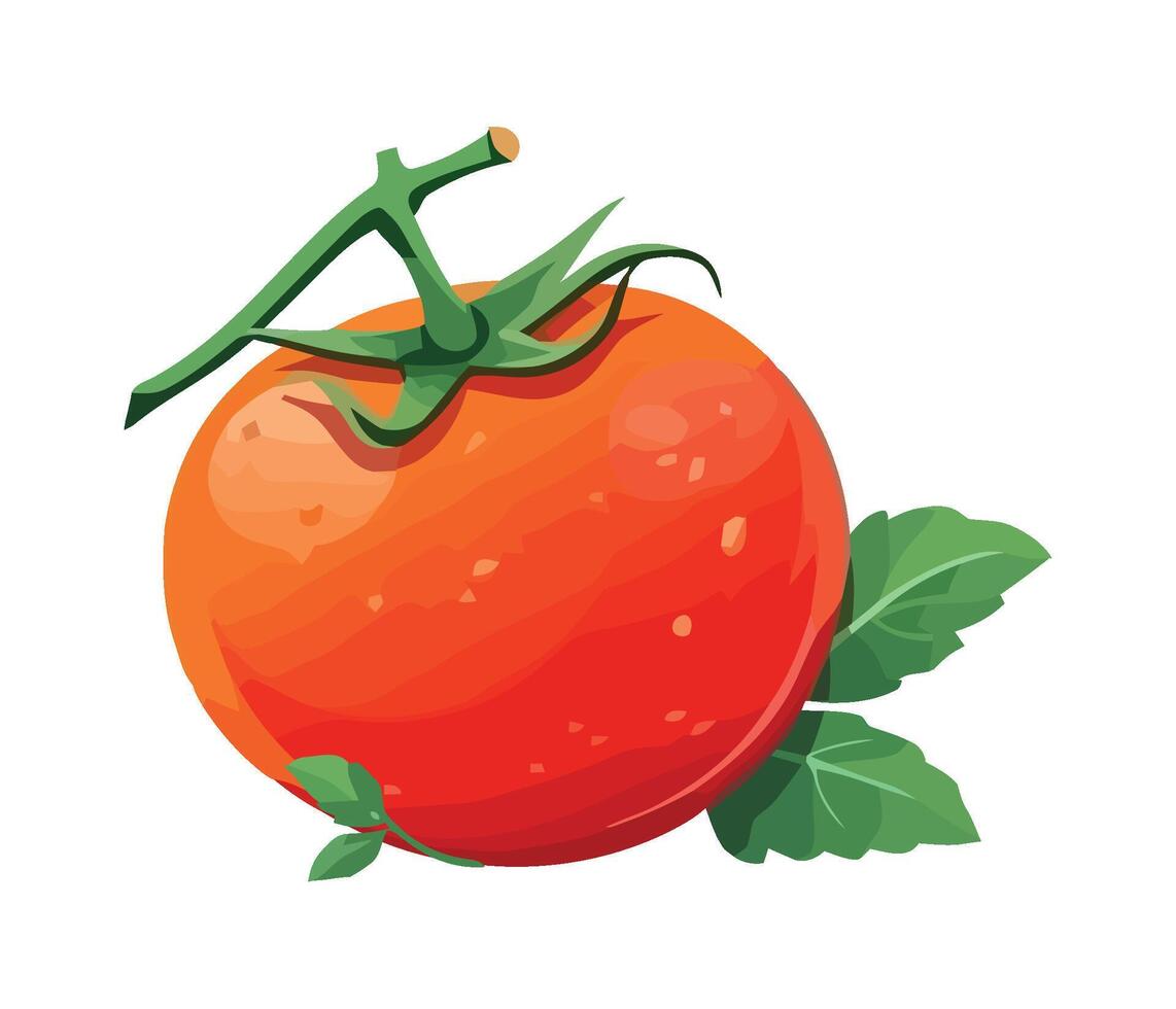 Tomato with leaves illustration vector