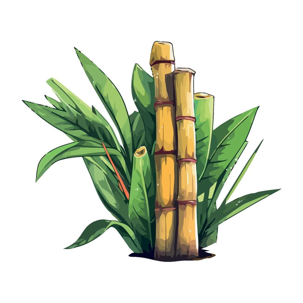 Bamboo plant with leaves and bamboo sticks on a white background vector
