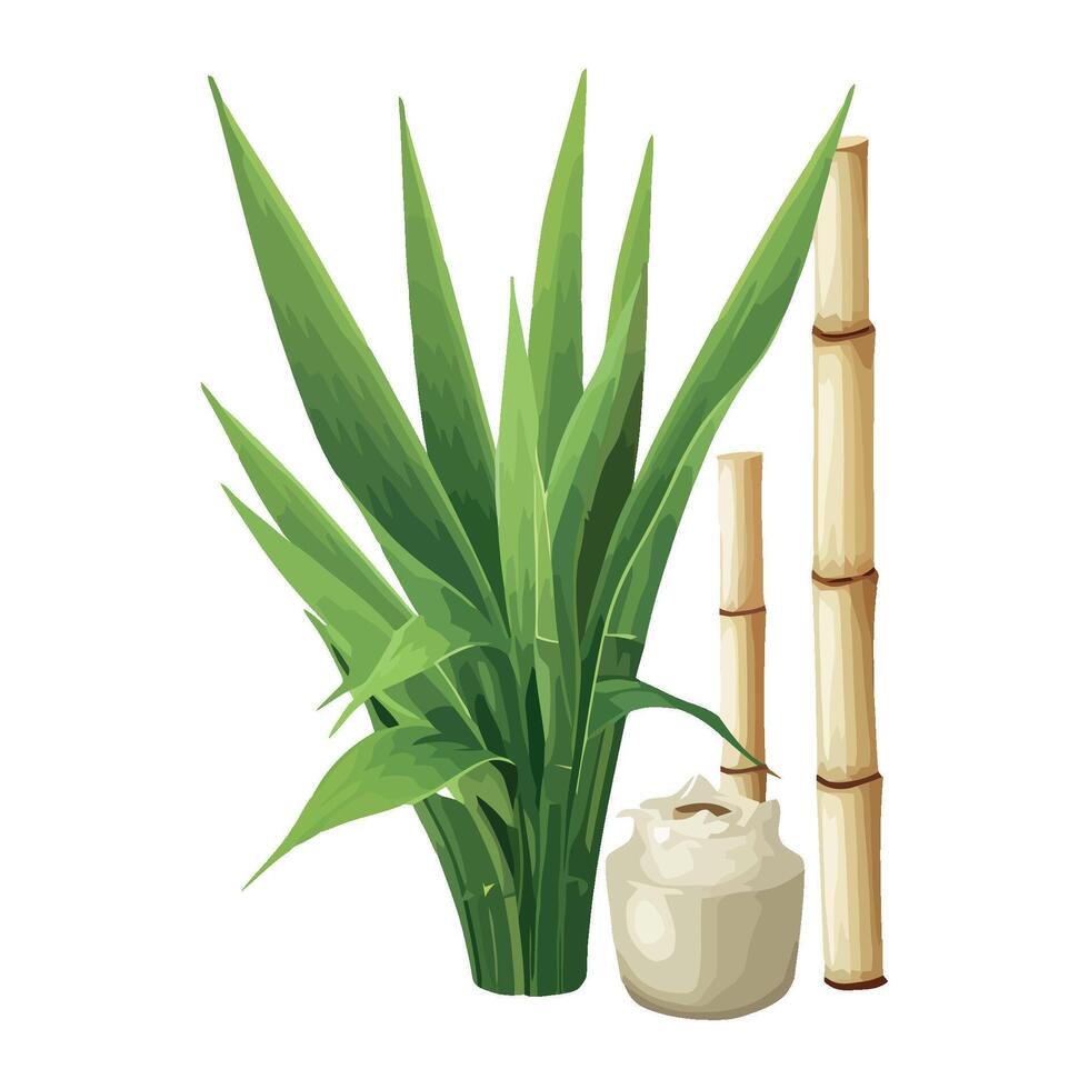 A jar of coconut oil and a plant with bamboo sticks vector