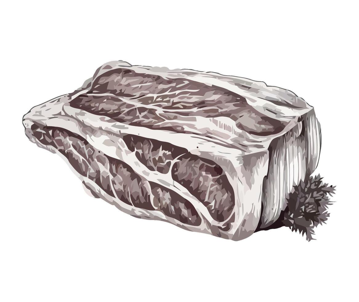 A drawing of a piece of meat on a white background vector