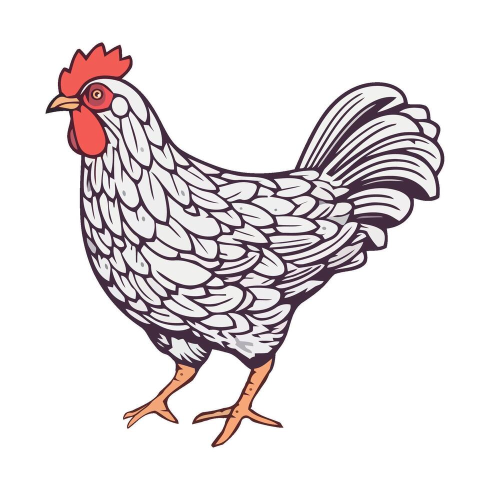 A chicken with a red head and a white body vector