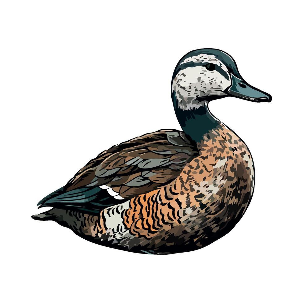 A drawing of a duck on a white background vector