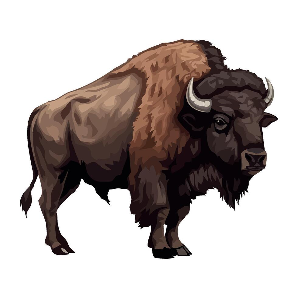 An illustration of a bison on a white background vector