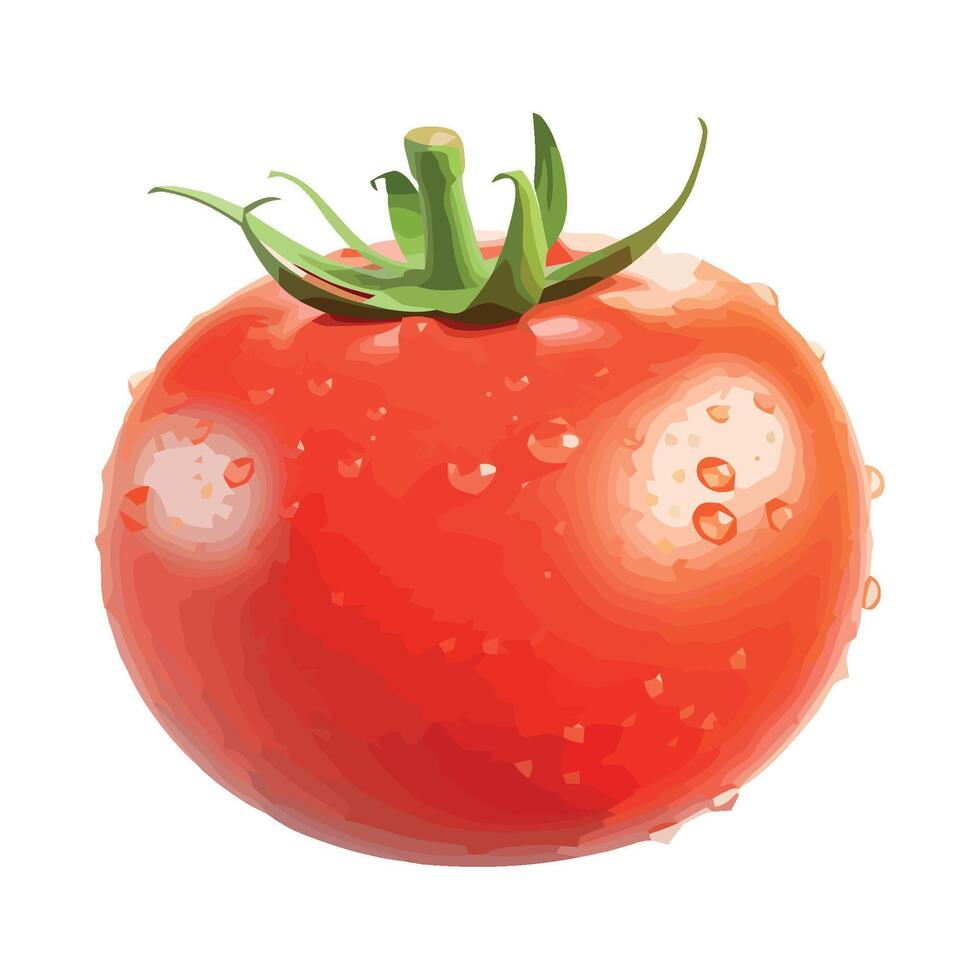 Tomato with water drops illustration vector