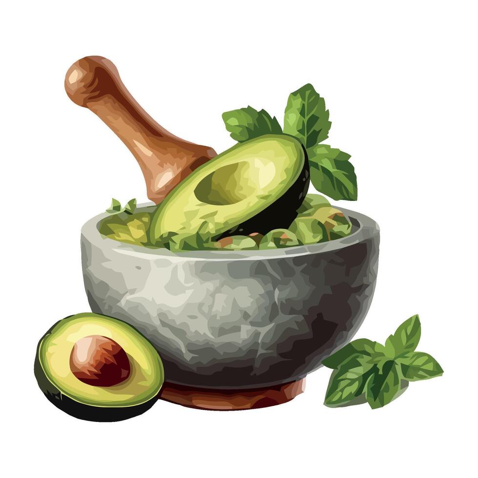 Avocado in mortar with mint leaves and mortar vector