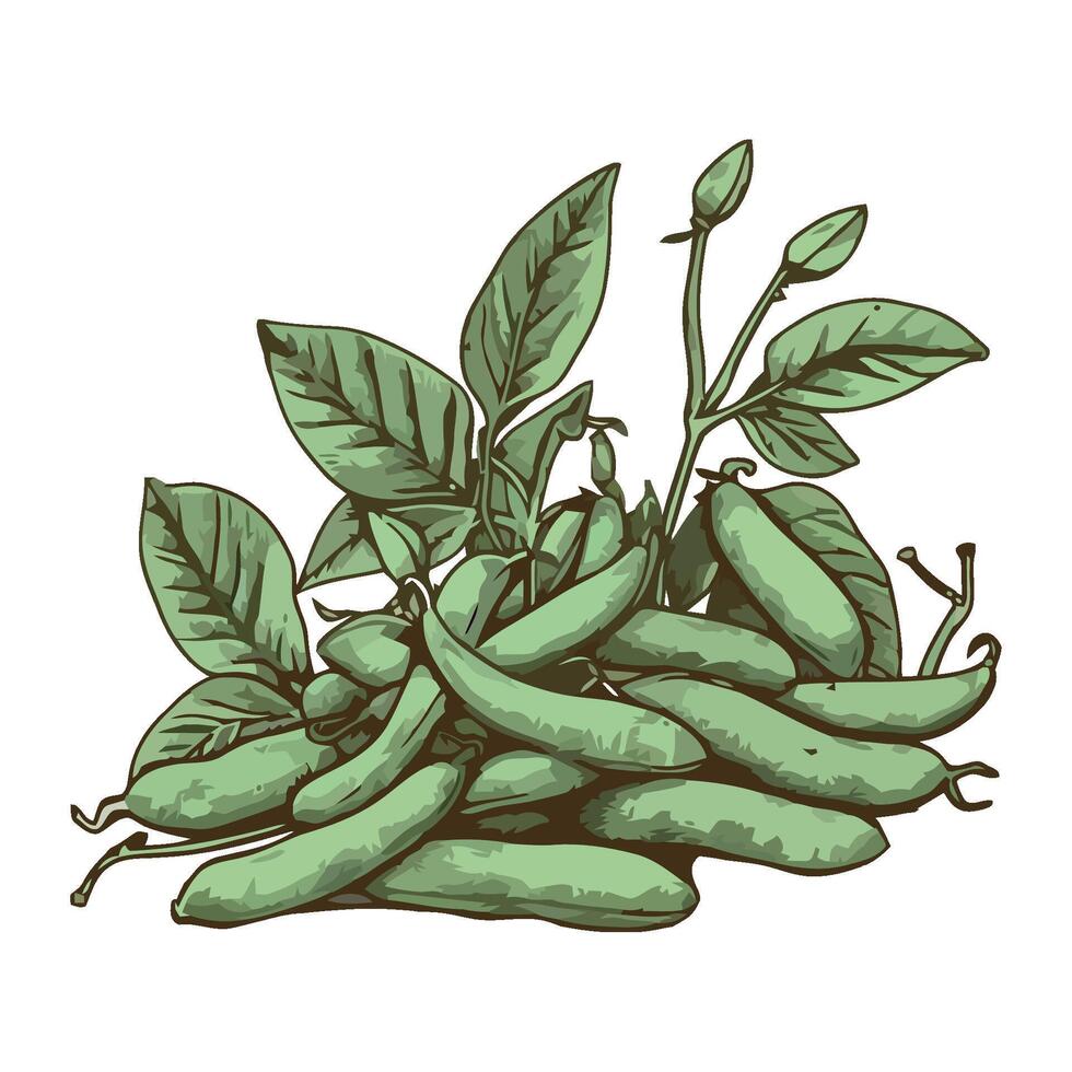 A bunch of green beans with leaves on a white background vector