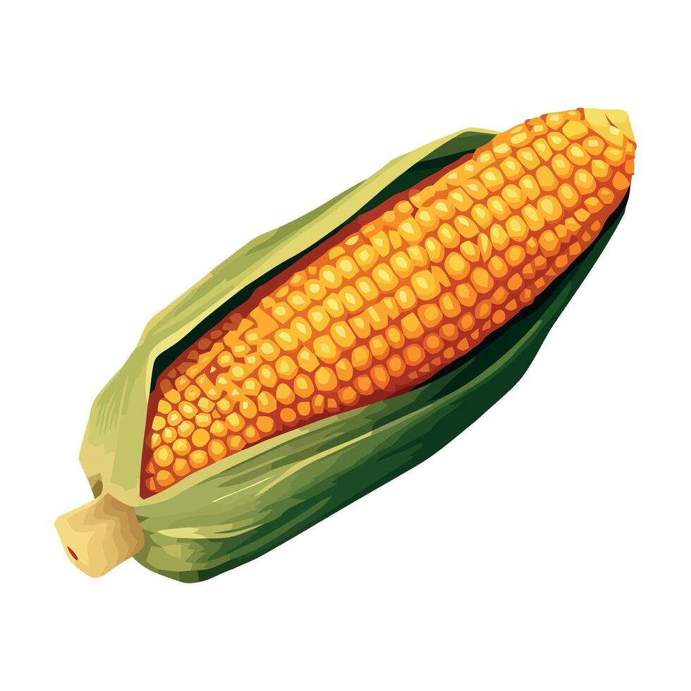 Corn on the cob illustration vector