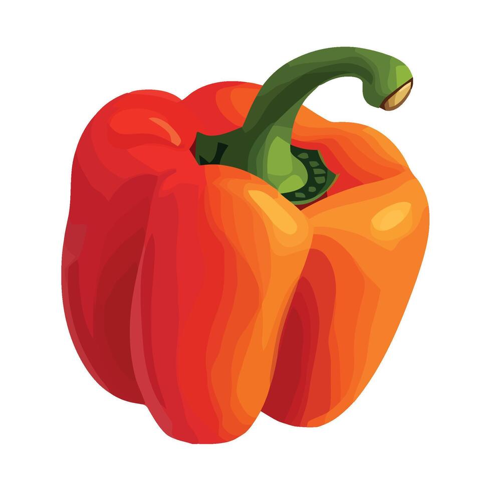 Red bell pepper illustration vector