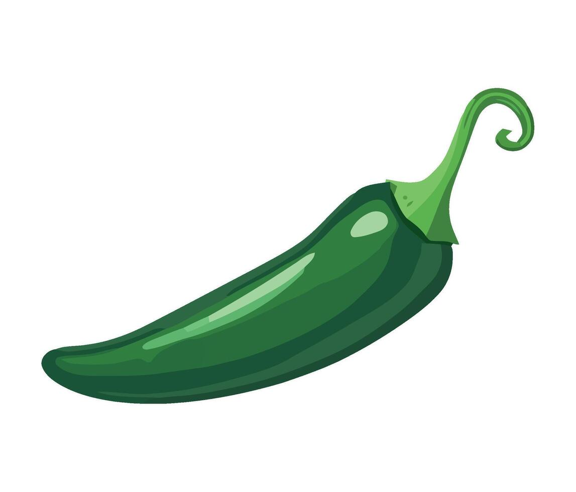 A green chili pepper on a white background vector