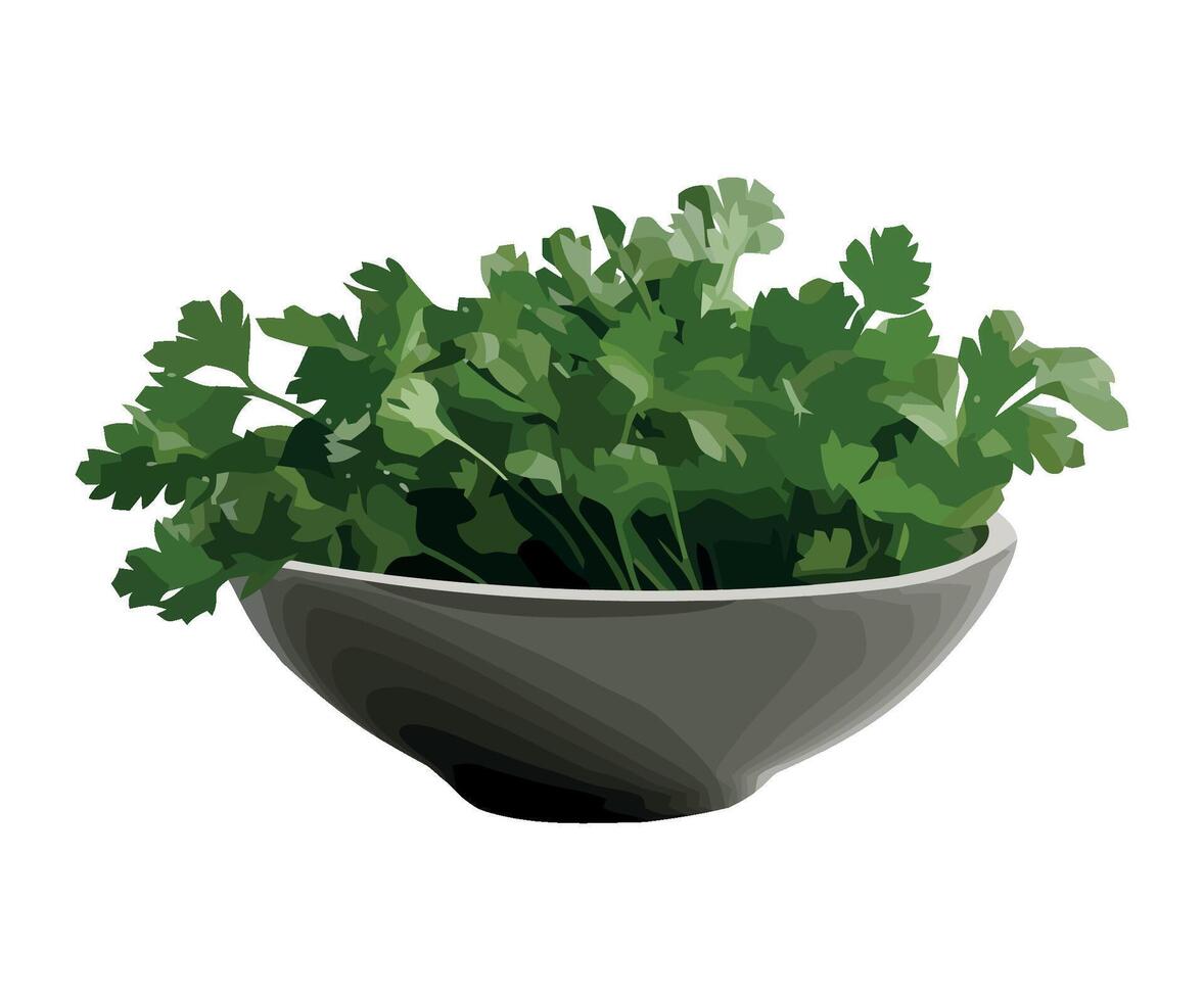 A bowl of fresh green herbs on a white background vector